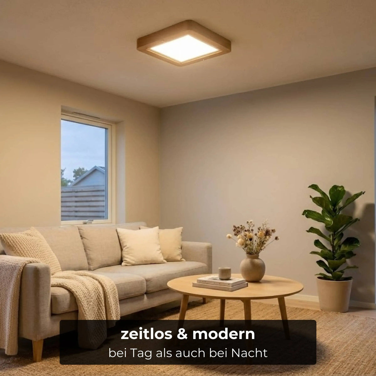 5-year warranty on the light source – Ida