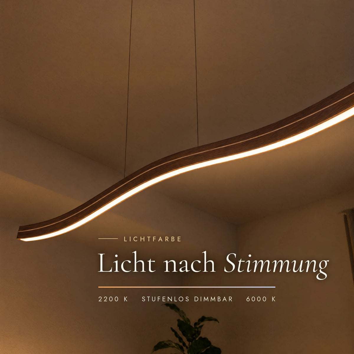 Leuchtende Unterseite der Fiona Meridian aus Walnuss: Lichtfarbe von 2200 bis 6000 Kelvin einstellbar und stufenlos dimmbar