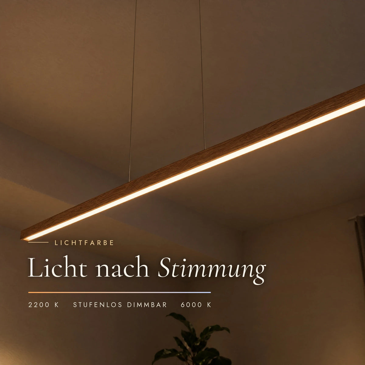 Illuminated underside of the Elia pendant light: colour temperature adjustable from 2200 to 6000 Kelvin and continuously dimmable