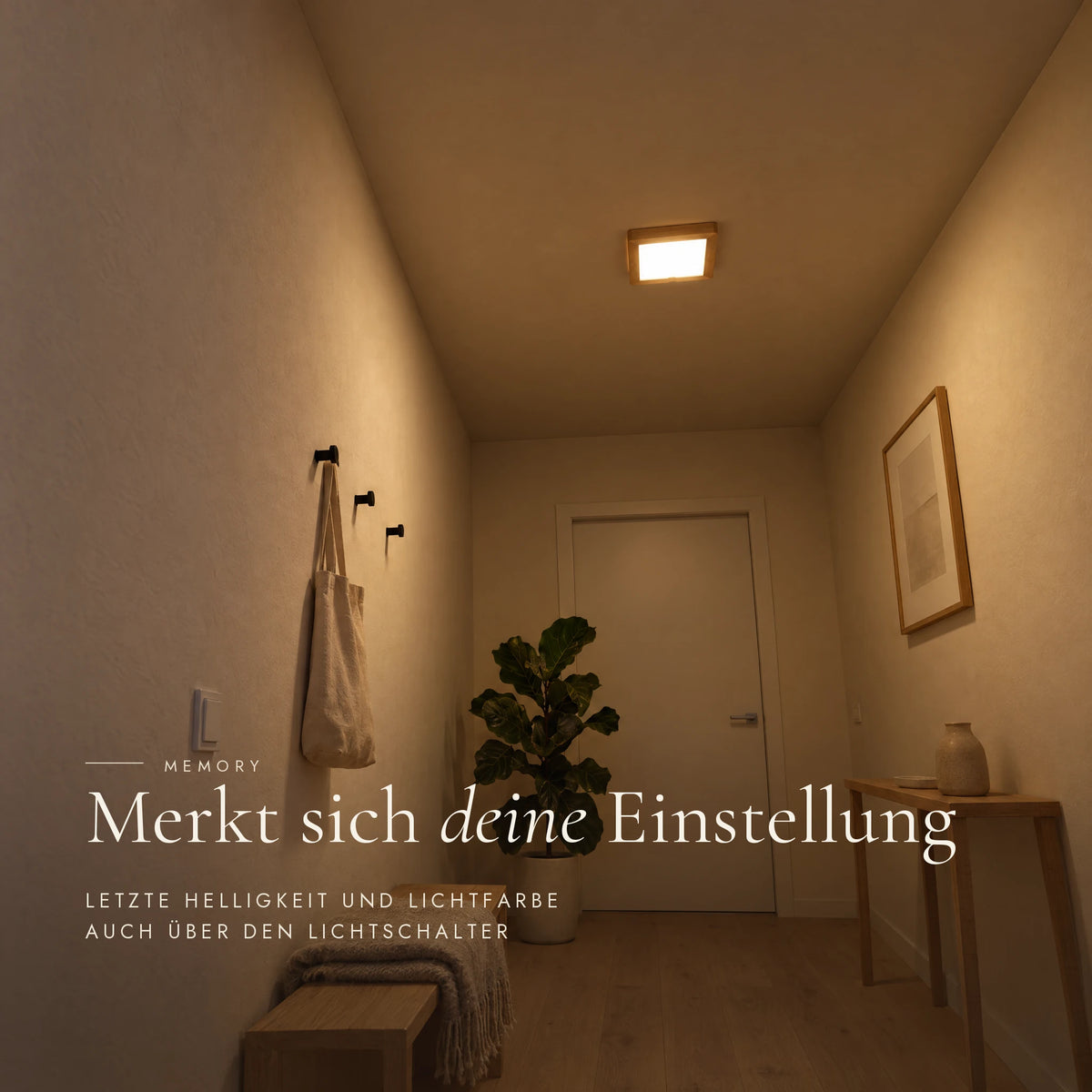 Ida Deckenleuchte mit Memory-Funktion, auch über den Lichtschalter