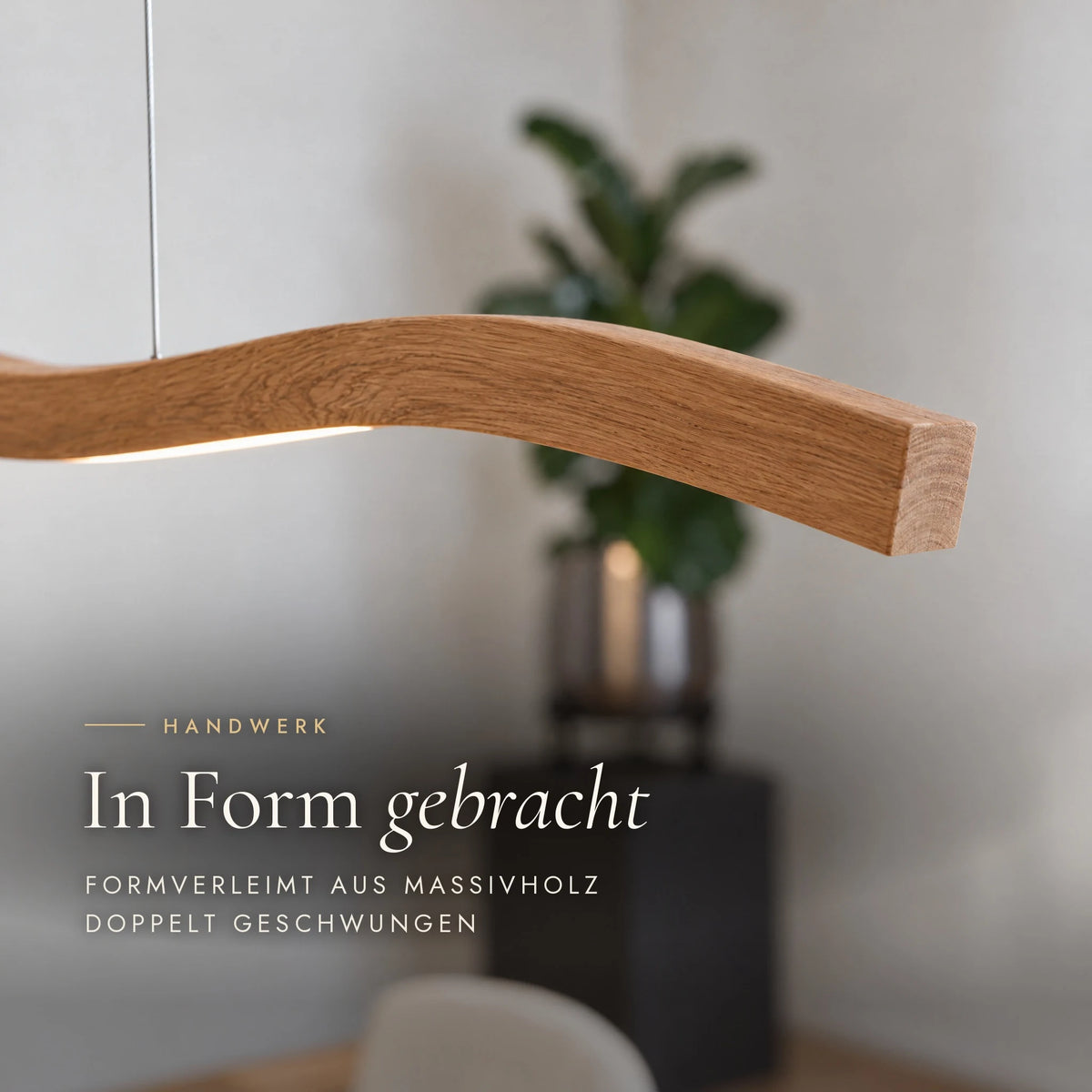 Close-up of the Mila pendant light: bent-laminated solid wood, double-curved, with visible end grain