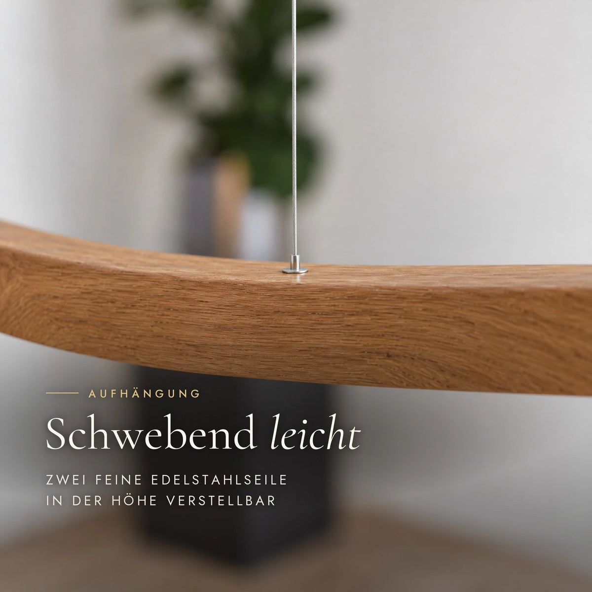 Mila pendant light suspended from two fine stainless steel cables, height-adjustable