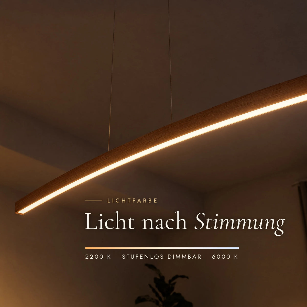 Illuminated underside of the Novara pendant light: colour temperature adjustable from 2200 to 6000 Kelvin and continuously dimmable
