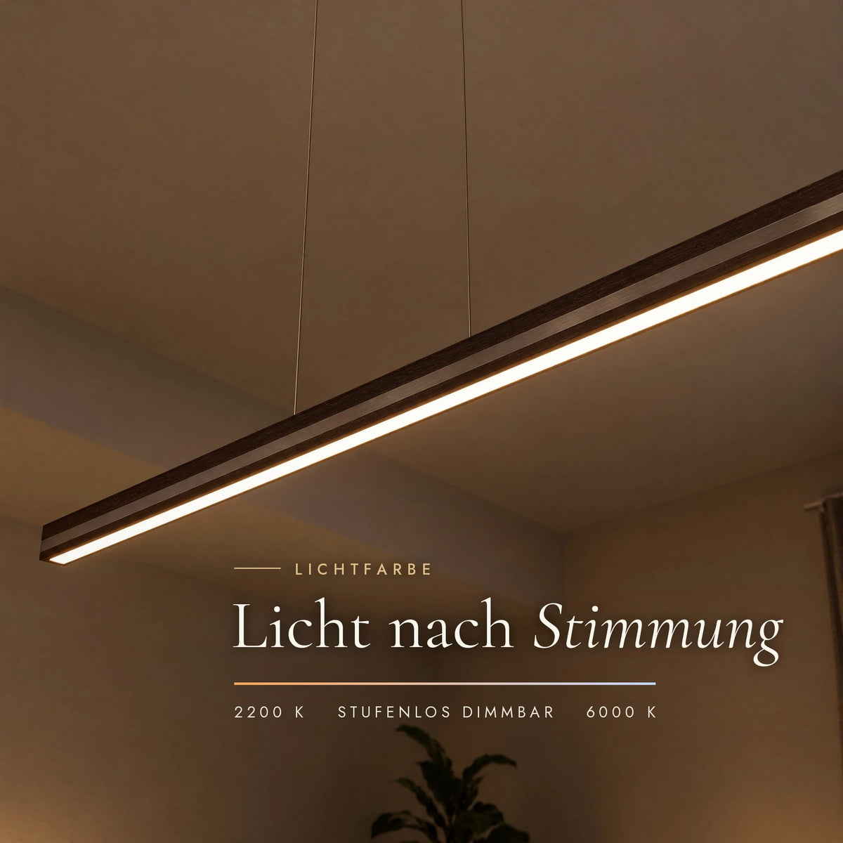 Veta pendant light in smoked oak with stainless steel inlay, colour temperature adjustable from 2200 to 6000 Kelvin, continuously dimmable